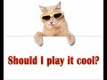 Funny Cats Funny Cats