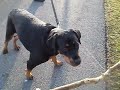 LOLA MAE