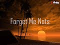 Vinylshakerz - Forget Me Nots Vinylshakerz - Forget Me Nots
