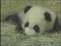 Lun Lun