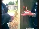 mad af natur råvare 3 mad af natur råvare 3