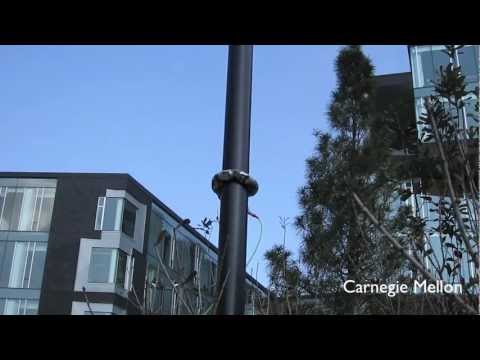 perching robot - Using the accelerometers inside each module of the snake robot we are able to detect when the robot hits a pole or branch after being thrown and have the rob...