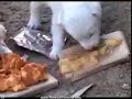 Faith No More & Boo  Yaa T.R.I.B.E. - Another Body Murdered