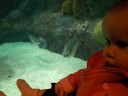 at the aquarium at the aquarium