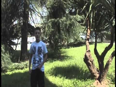 Imatge de previsualització de YouTube