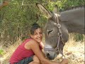 IndiAn-na Spirit Farm 3 - � www.sotos206.gr