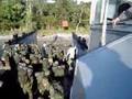 vido do curso de formação de sarg Fuzileiros Navais 2007