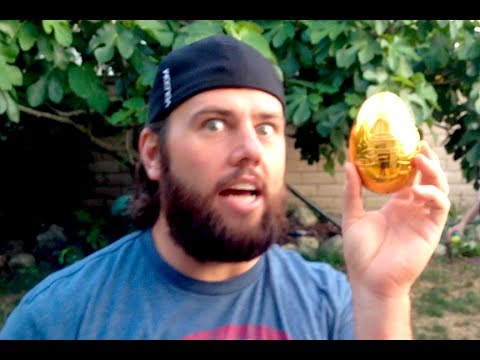 WHO FOUND THE GOLDEN EGG?