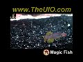Magic Fish from www.TheUIO.com
