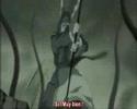 naruto-princess fuun movie