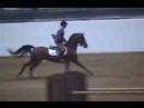 2007 Sport Horse Nationals Mini Prix