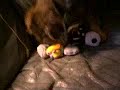 Lady playing with new toys Lady playing with new toys