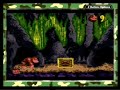 Donkey Kong Country Gameplay Gameboy Color