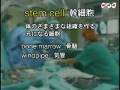 20081120 幹細胞を利用した移植手術