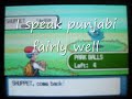 The Pal Park and Special Pkmn Appearance