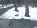 RC Car Fun With My Traxxas Revo 2.5R