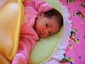 Asya Bebek