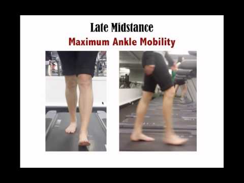 how to assess gait