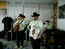 Caricias Baratas - Galan Norteño