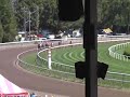 Horse race USA