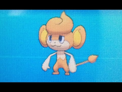 how to draw pyroar