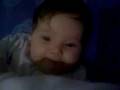 videos de ylli vogel