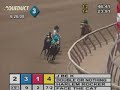 2008 Withers Stakes - Harlem Rocker