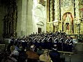 Tus Lágrimas B.C.T. Piedad Salamanca 2007 Tus Lágrimas B.C.T. Piedad Salamanca 2007