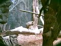 tulsa-zoo-in-february.html