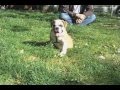 In the Park with Starsky