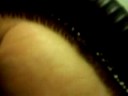 GIANT AFRICAN MILLIPEDE
