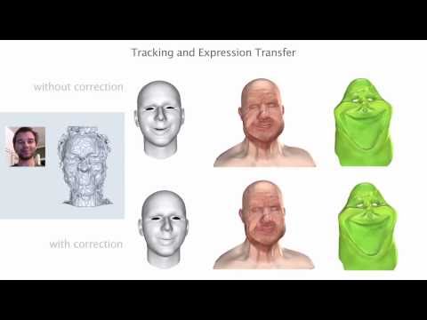 0 Realtime Performance Based Facial Animation
