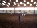 Reitunterricht (noch englisch reiten ^^) Reitunterricht (noch englisch reiten ^^)