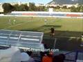 The Fans of Terek