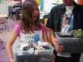 Eco-Friendly Science Fair Project Eco-Friendly Science Fair Project