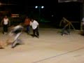 NBA logistica EMSANMAR