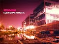 Stimming - Kleine Nachtmusik [house]