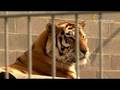 CITYGUIDE - Plättli Zoo AG Frauenfeld Schweiz