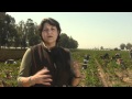What Role Does Technology Play On This Family Farm? 