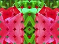 Click here to watch this video tulip tangle