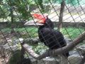 PENANG BIRD PARK PENANG BIRD PARK