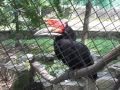 PENANG BIRD PARK