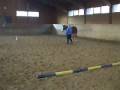 Reiten ohne Alles und Bodenarbeit