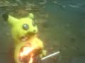 PIkachu verbrennung