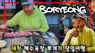테이스트서울굿 | There's more than mud in BORYEONG!