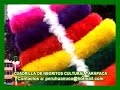 plaza de armas parte 2  negritos cultural tarapaca   huanuco