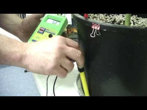 how to test ph of oil