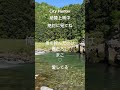 【真田まことwith Shachi】俺を呼んだのは君だろ？友情出演した田舎者がシティーハンター冴羽遼役を実際に演じてみたらどうなる？#shorts