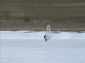 windboarding 2