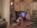 Second Attempt.wmv